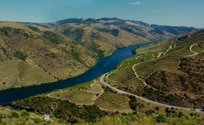 Douro Valley Tour from Oporto